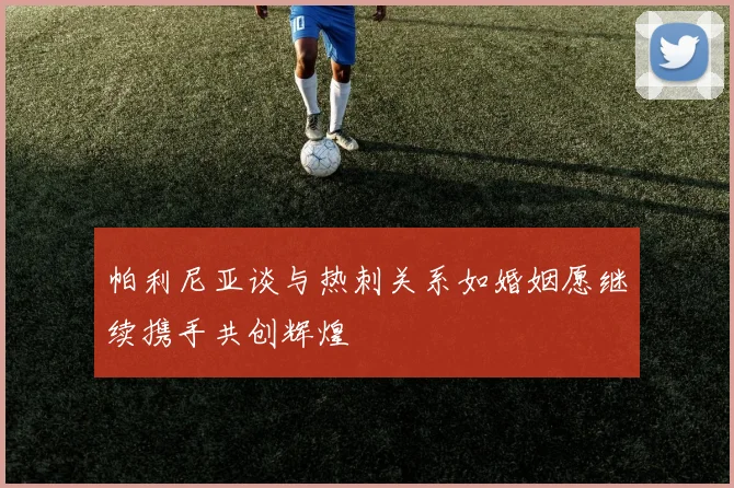 帕利尼亚谈与热刺关系如婚姻愿继续携手共创辉煌